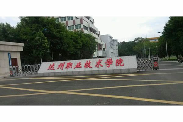云顶国际官网电力UPS电源守护达州职业技术学院教育系统